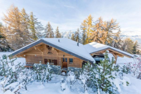 Гостиница Chalet Le Troll - Nendaz  Нанда